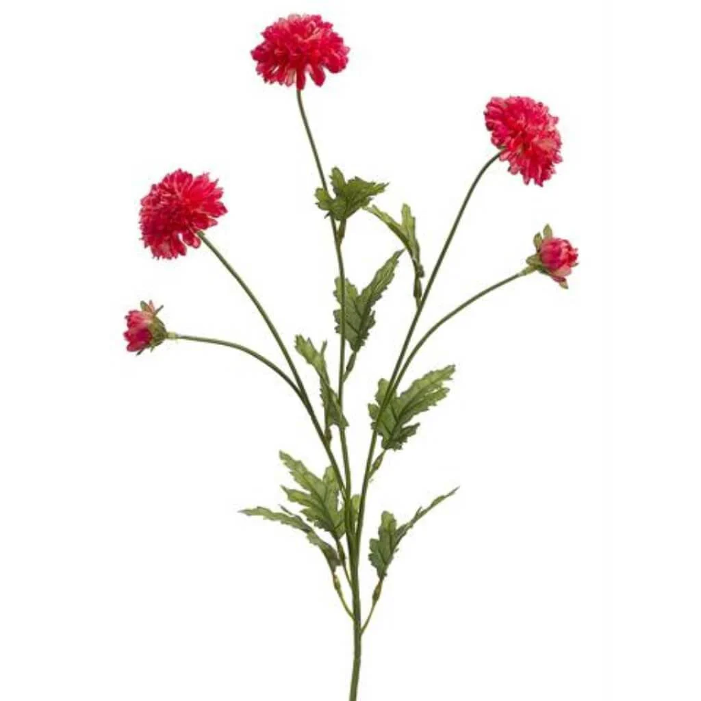 Pompon Mum Spray 27" Cerise