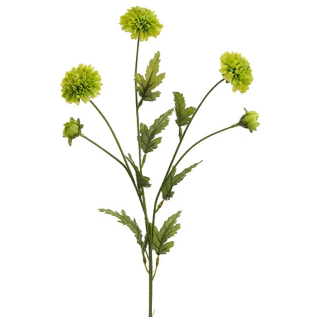 Pompon Mum Spray 27" Green