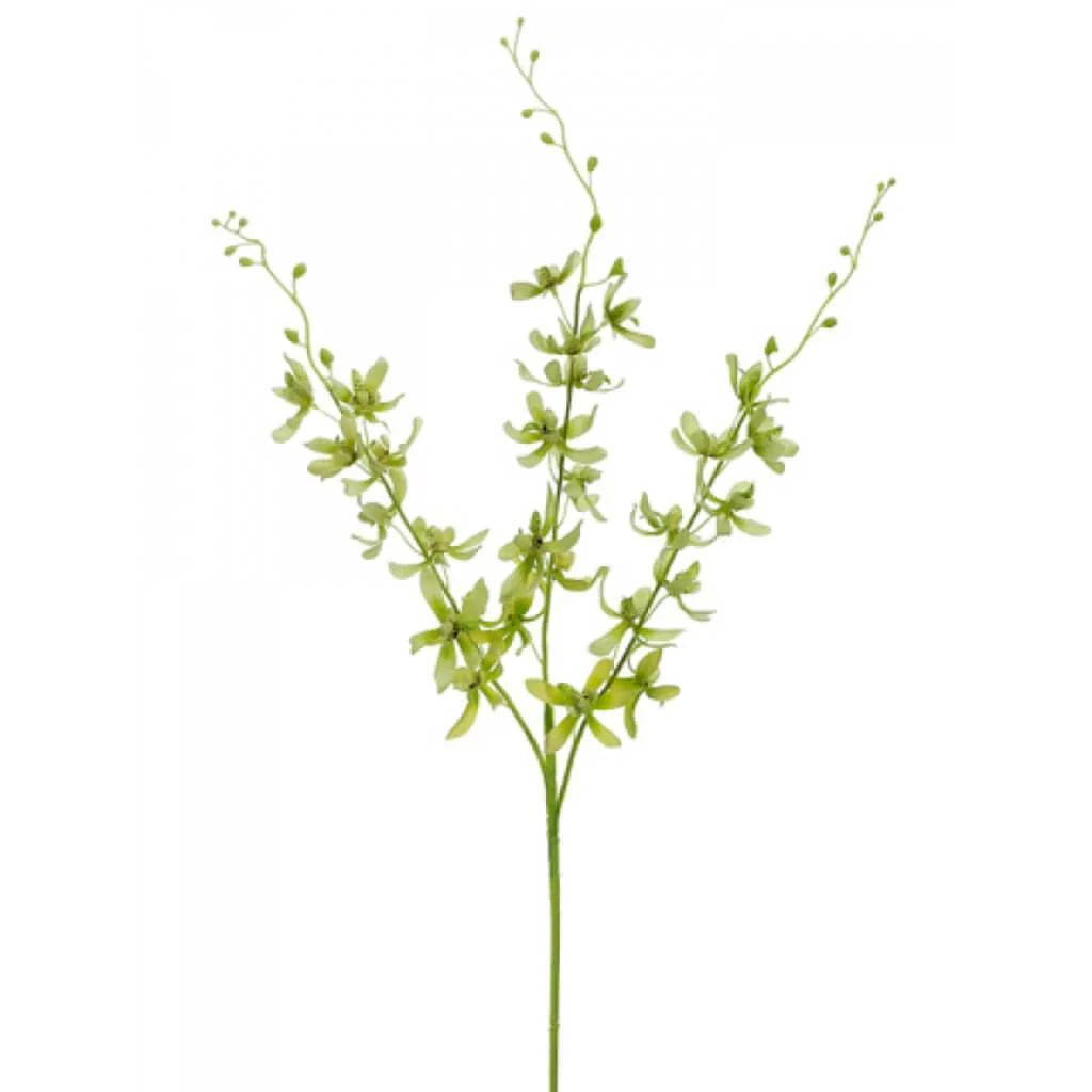 Dendrobium Spray X3 39" Green Cream