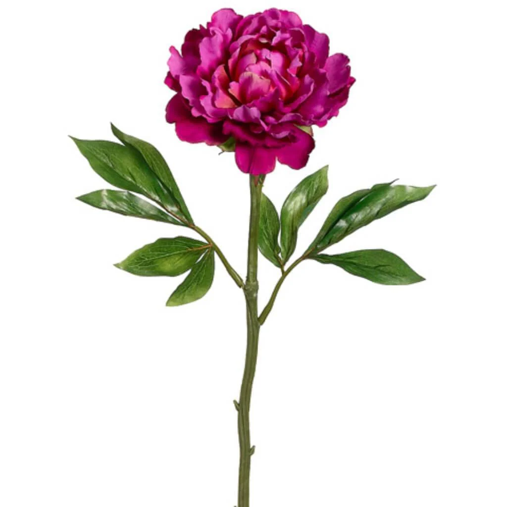 LX5.5"D PEONY SPRAY 22" TWO TONE BEAUTY
