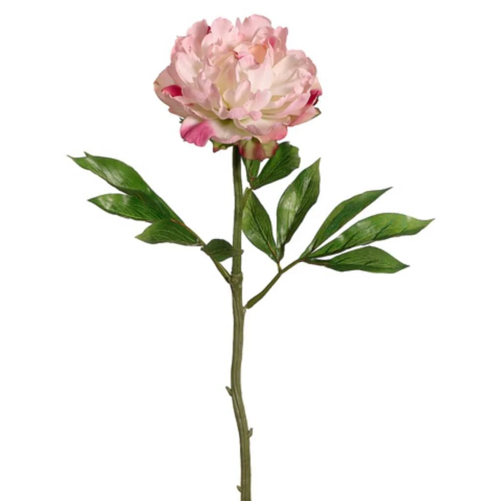 LX5.5"D PEONY SPRAY 22" PINK BEAUTY