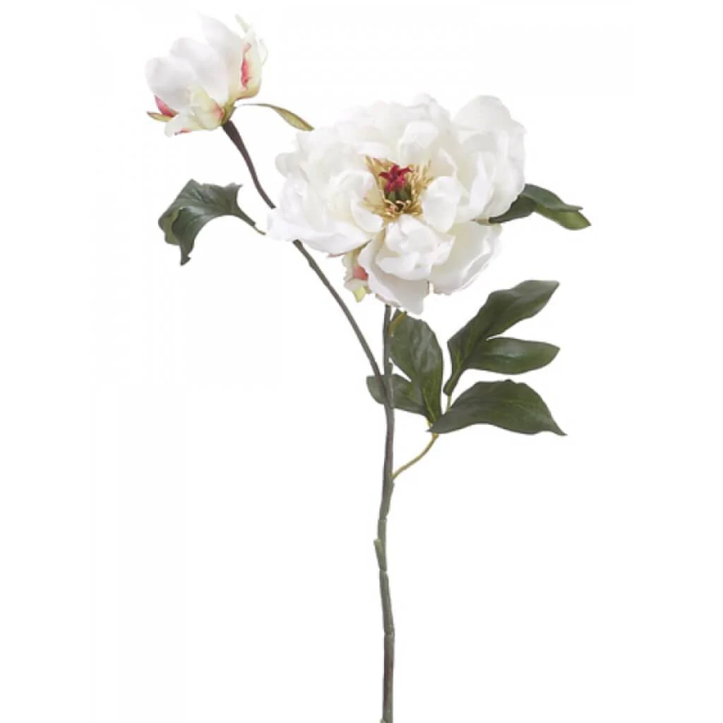 Peony Spray W/Bud 19.5" Cream