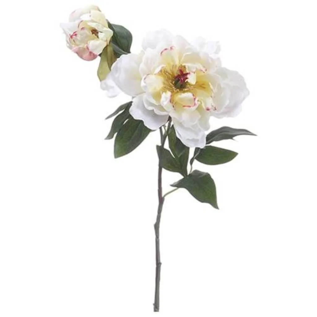 PEONY SPRAY W/BUD 19.5" CREAM RUBY