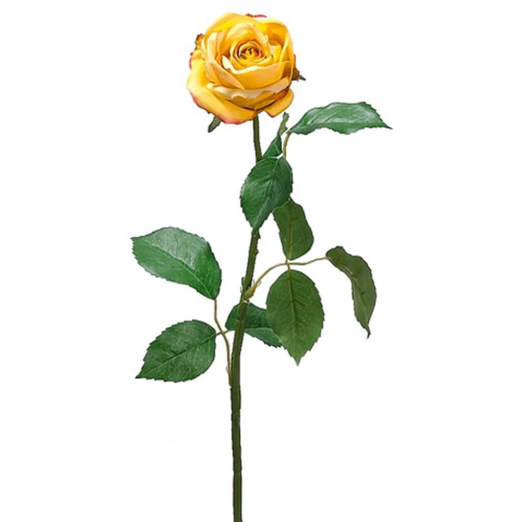 Cott.Rose Bud Spray 26" Yellow Beauty