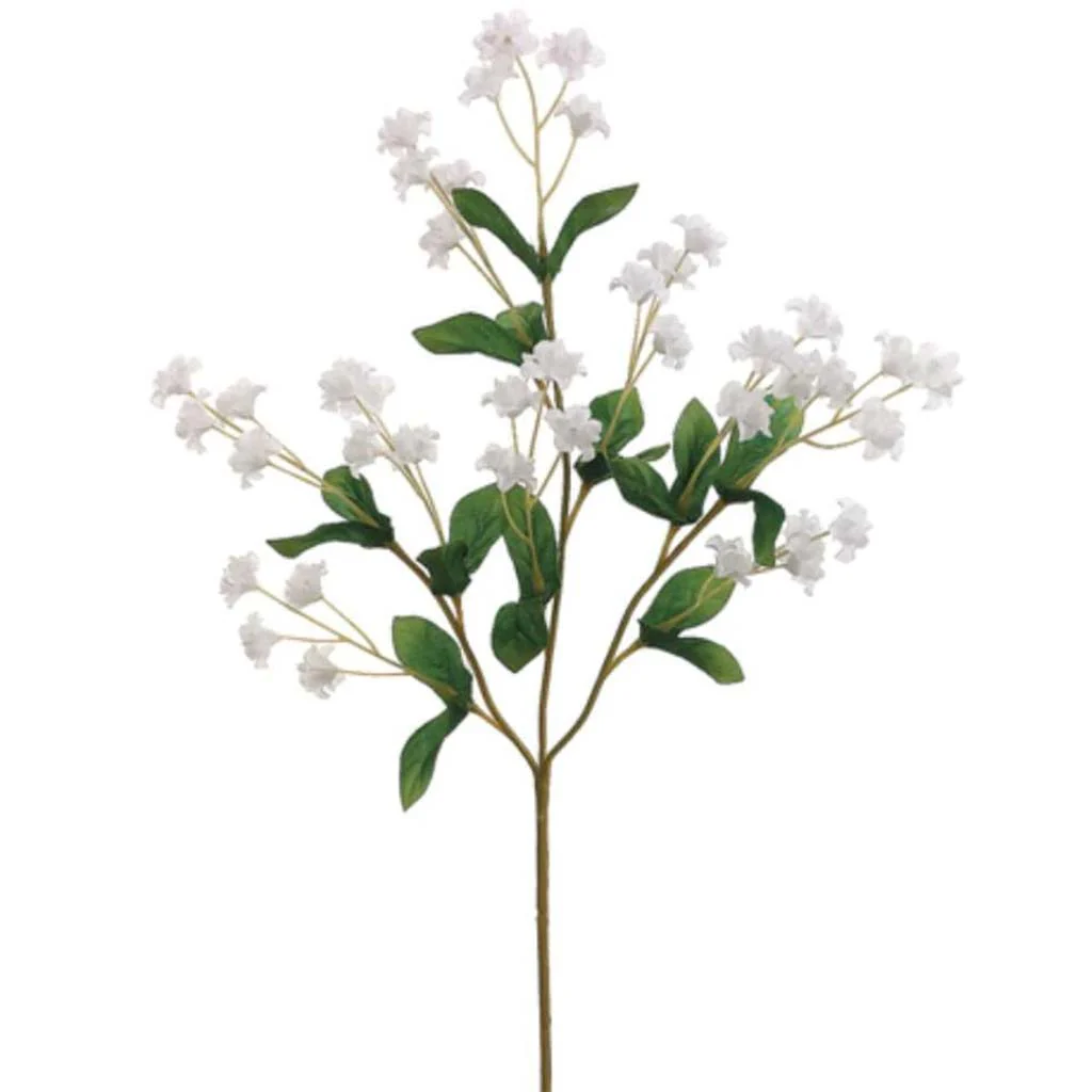 19"Dbl Baby'S Breath X40 Wh