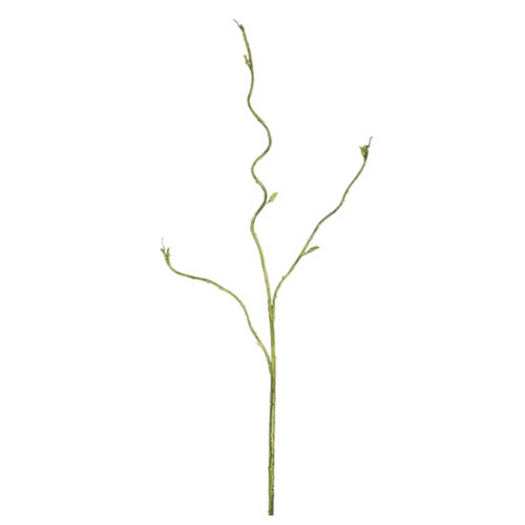 Curly Willow Spray 37.5" Green