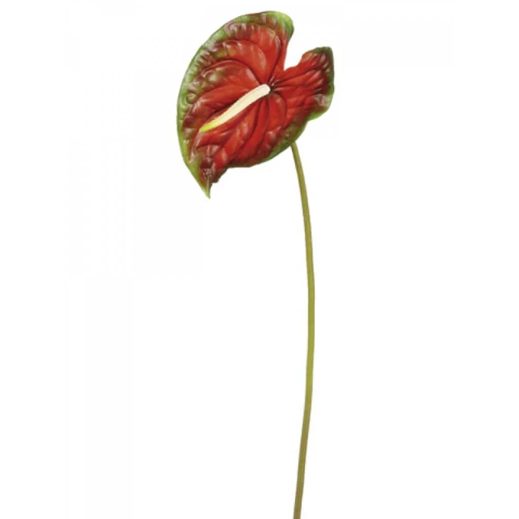Lg Anthurium Spray 26" Red Green