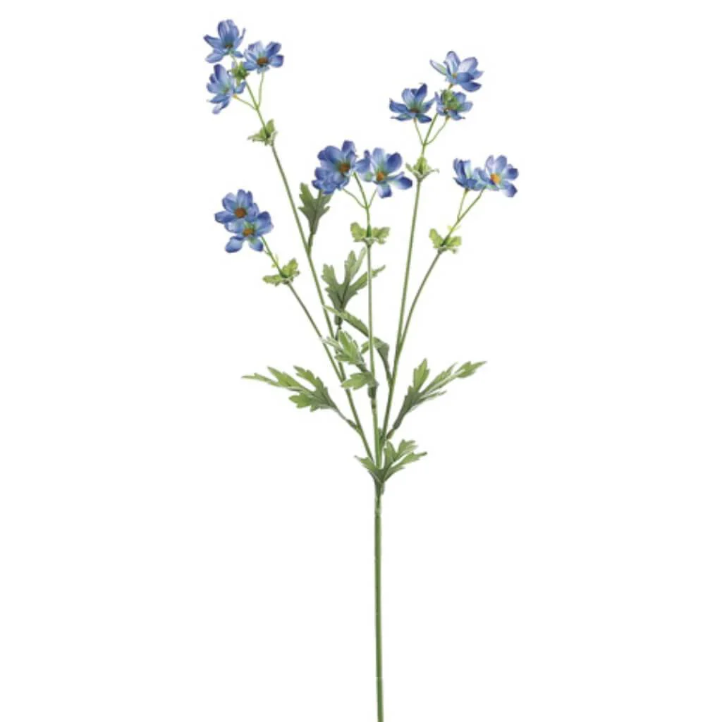 Baby Cosmos Spray X5 27.5" Blue