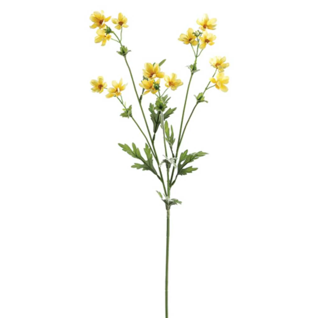 Baby Cosmos Spray X5 27.5" Yellow