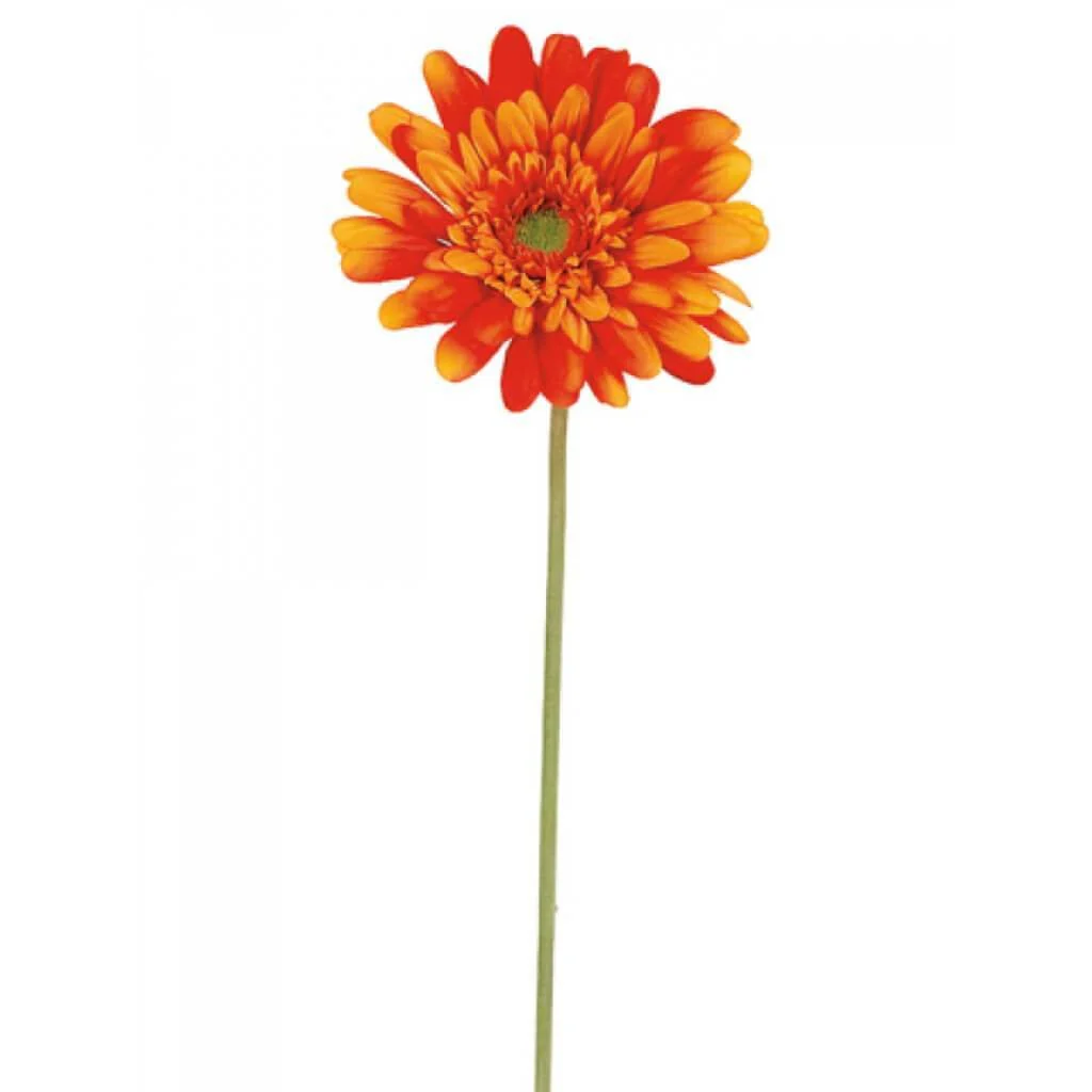 Md Gerbera Daisy Spray 21.5"Orange
