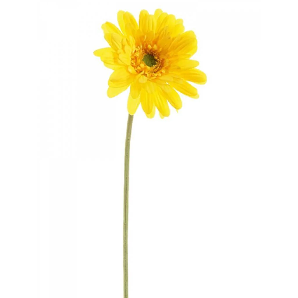 Md Gerbera Daisy Spray 21.5"Yellow