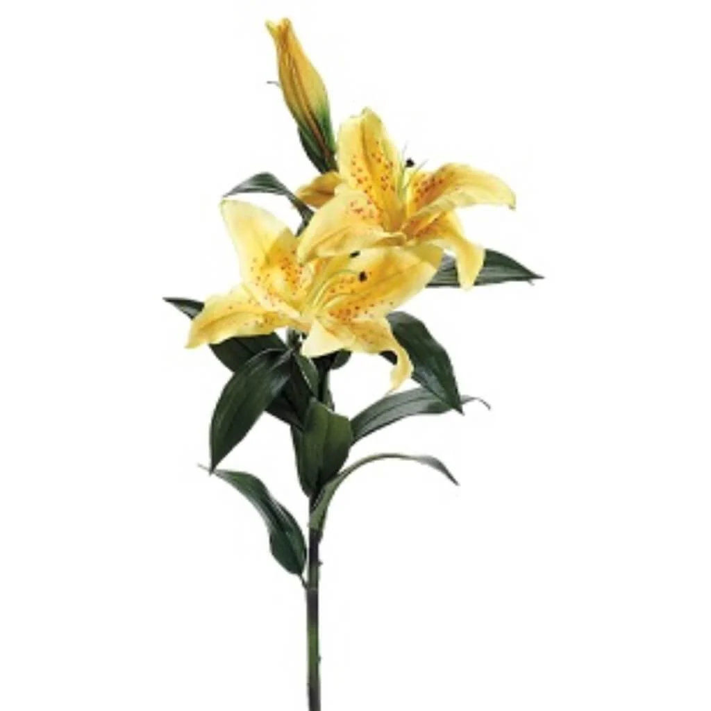 Rt Casablanca Lily Spray 35"Yellow