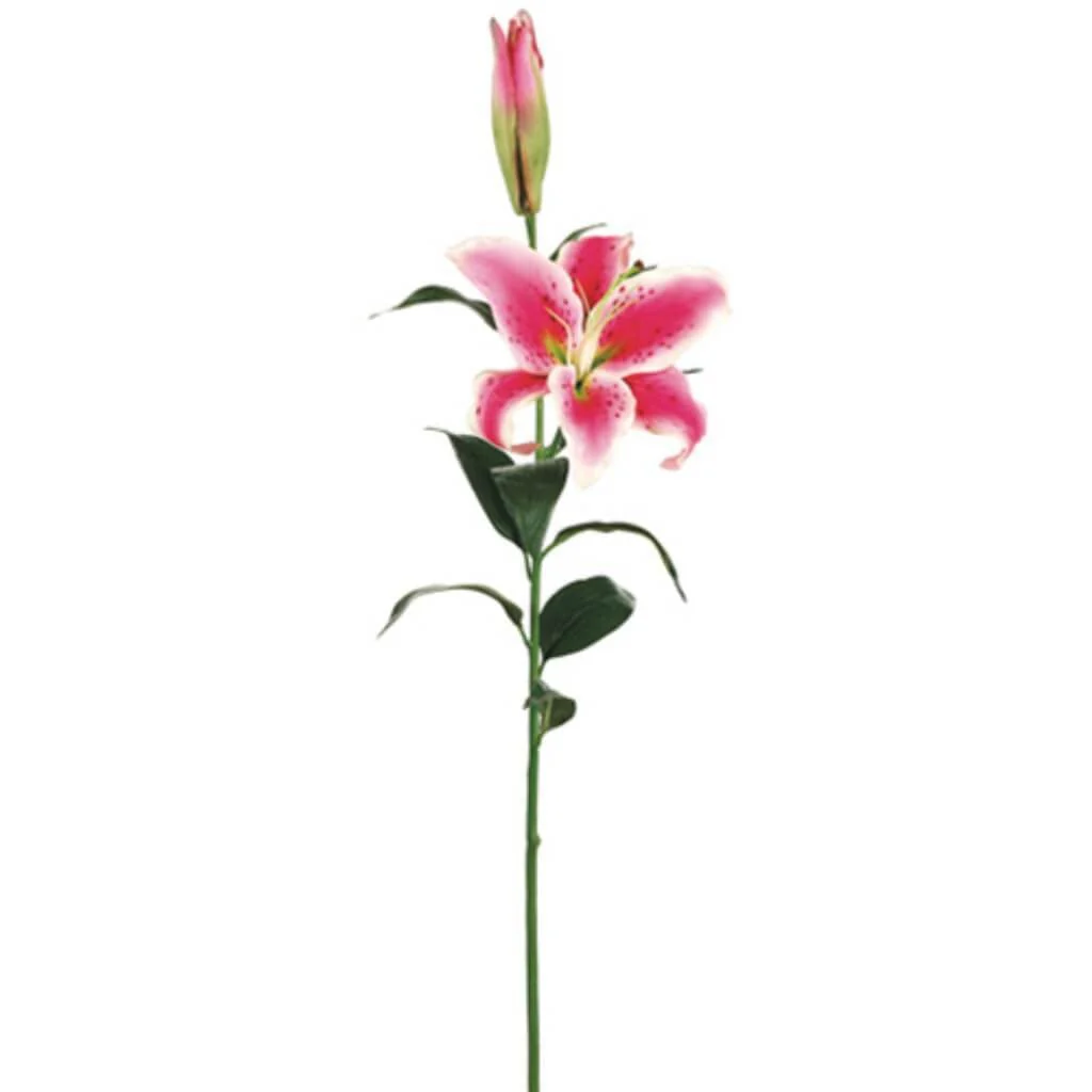 Rt Casab.Lily Spray 36" Rubrum Pink