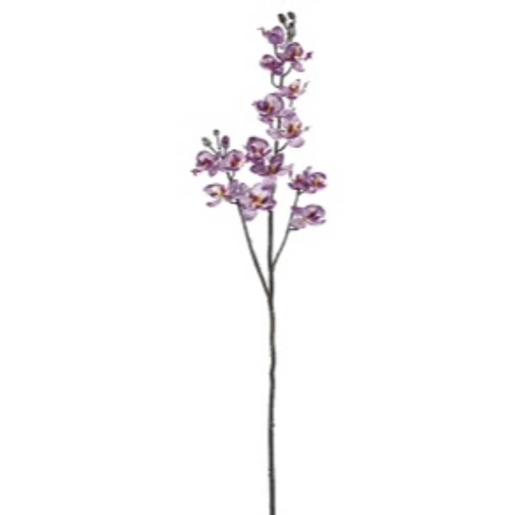 Baby Phalaenopsis Spray 32" Orchid