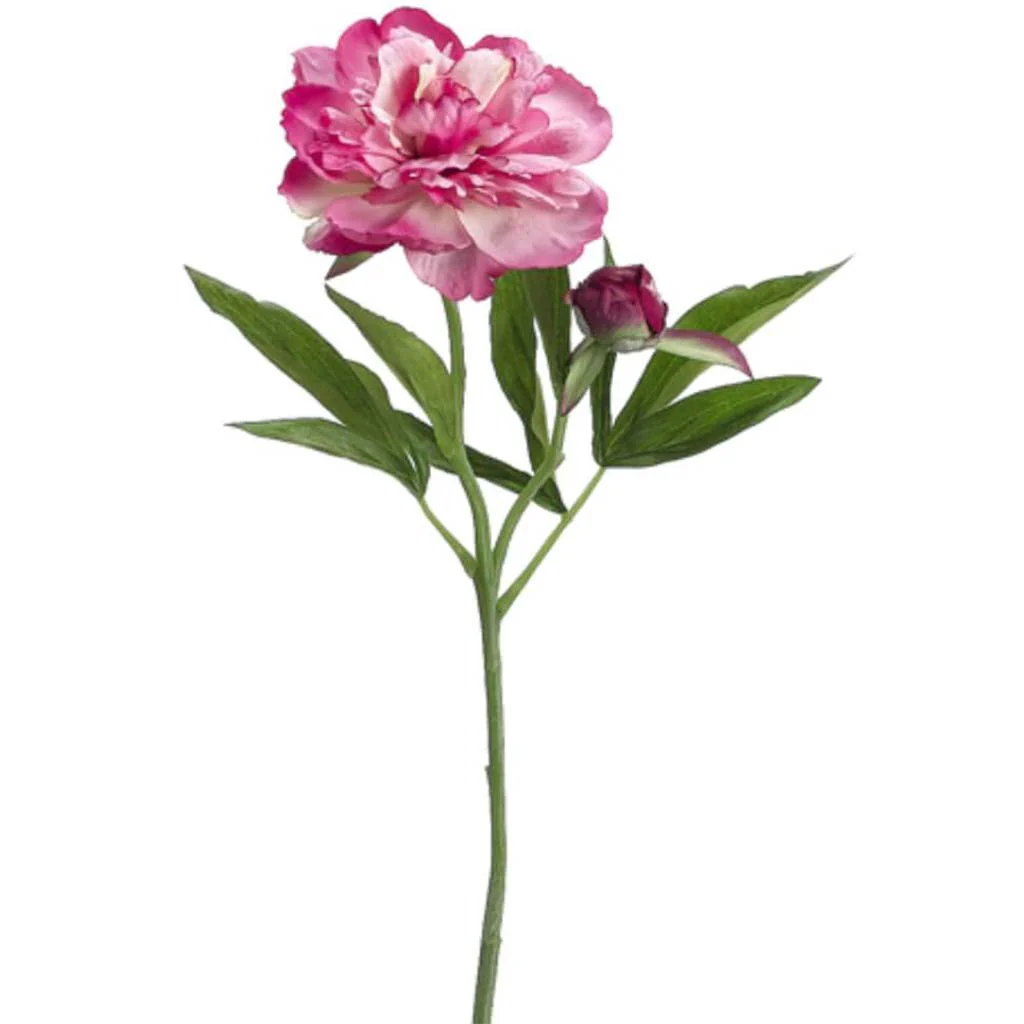PEONY SPRAY X2 19" FUSCHIA PINK