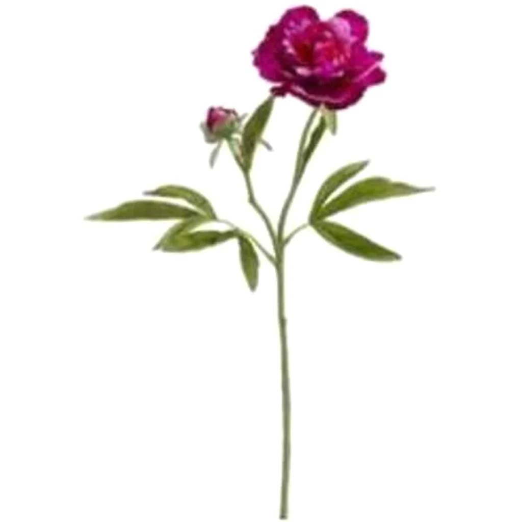 PEONY SPRAY X2 19" TWO TONE ORCHID