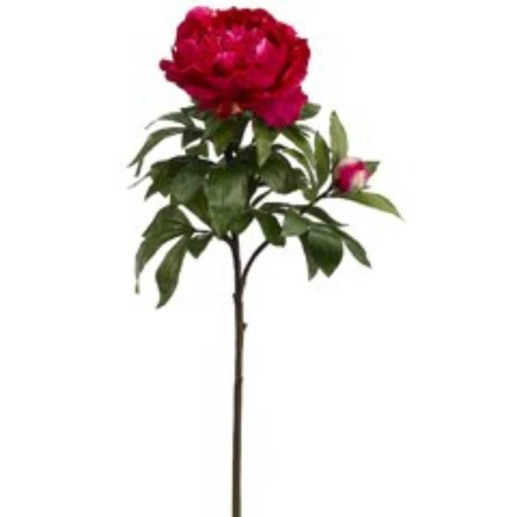 RT KING PEONY SPRAY 1F1B 36" TWO TONE BEAUTY