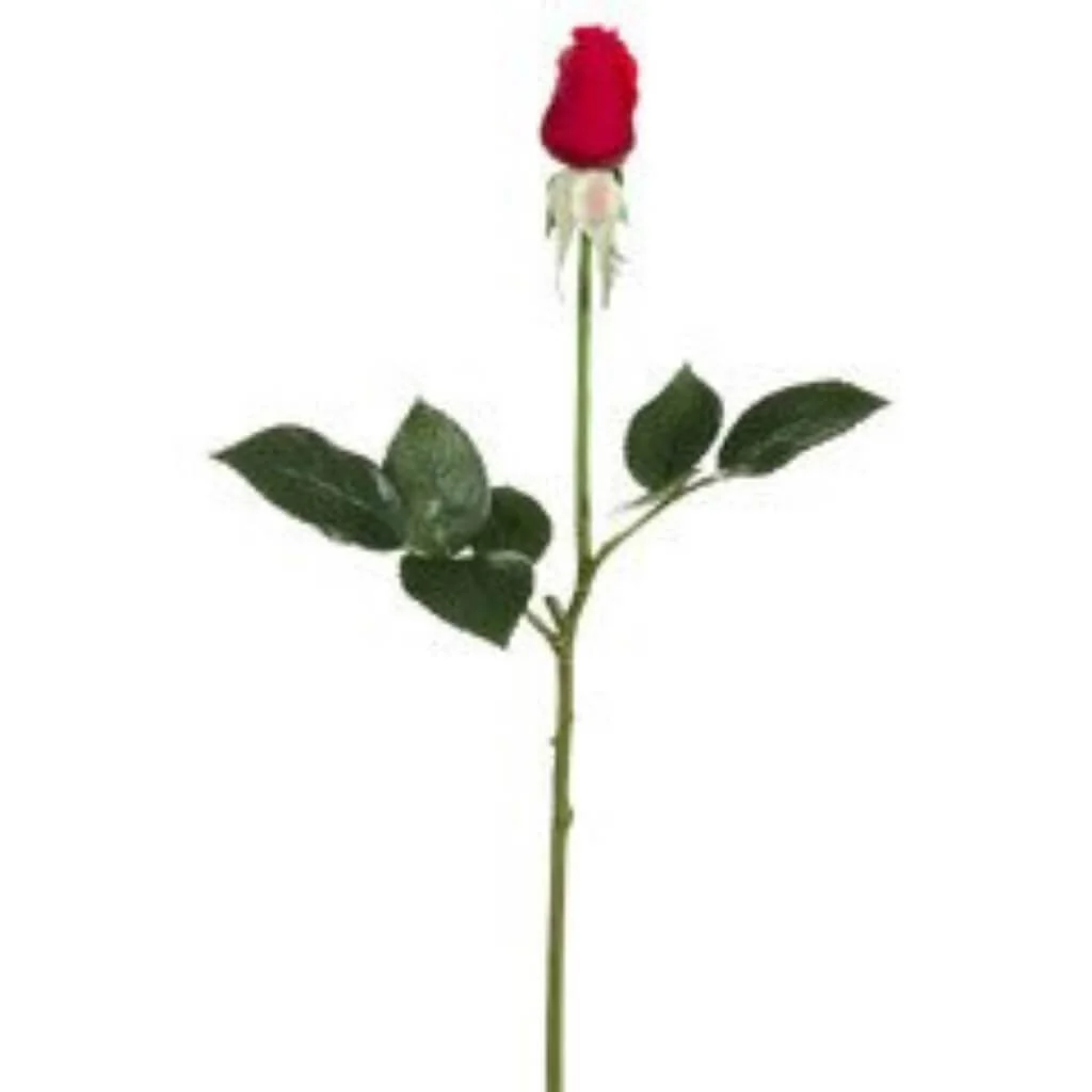 17.5"Rt Dia.Rose Bud Sp.Re