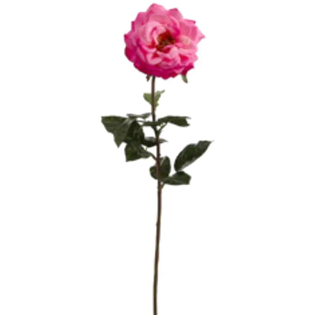 Rt Orlane Rose Spray 27" Beauty