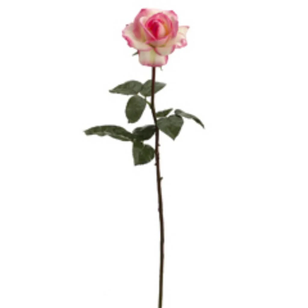 RT CAROLINE ROSE SPRAY 27" CREAM PINK