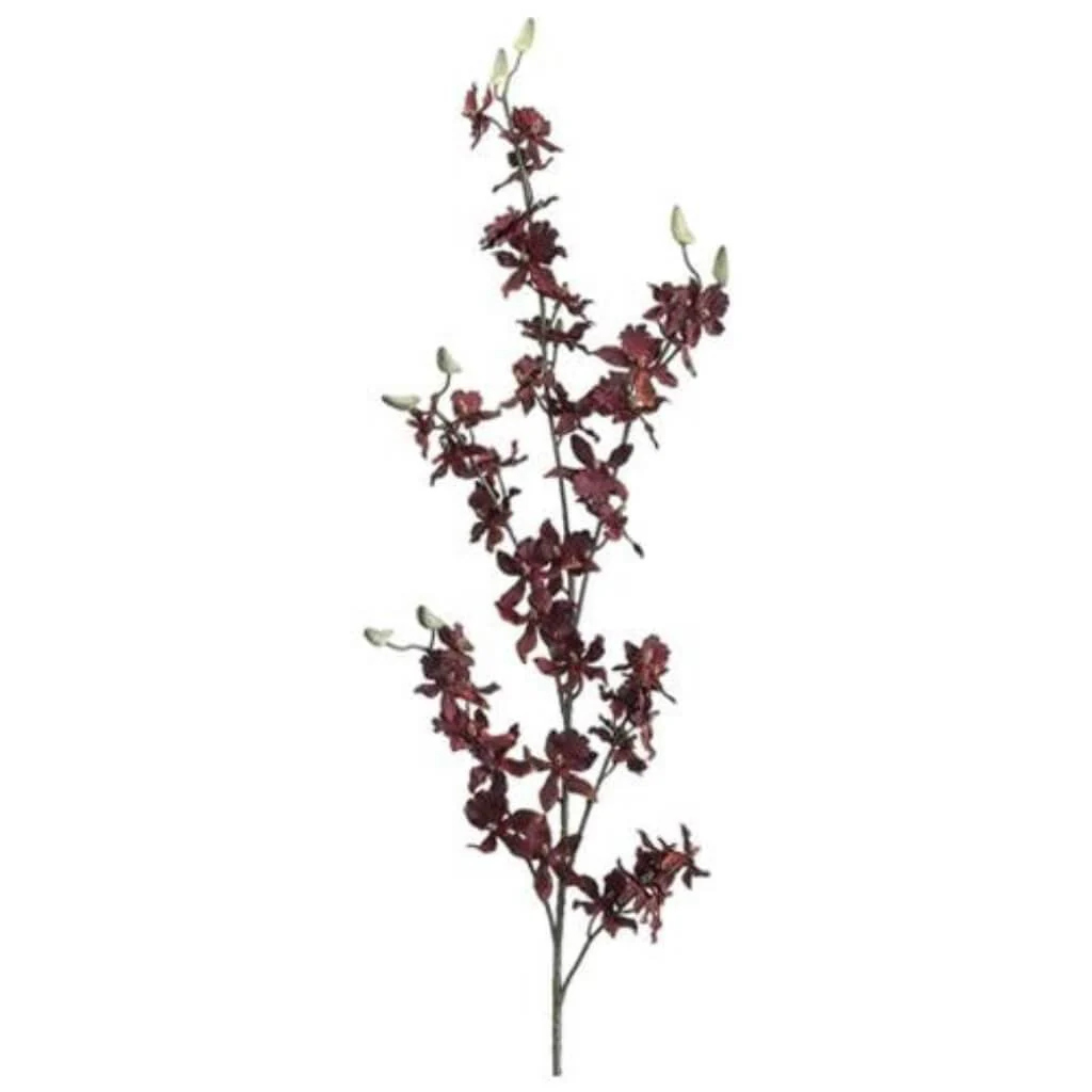Dancing Orchid Spray 39" Rubrum