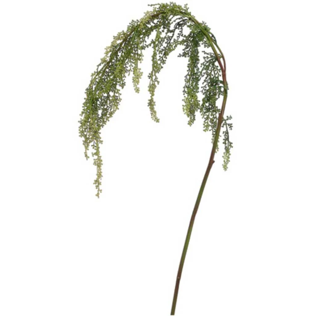 Amaranthus Spray 42" Two Tone Green