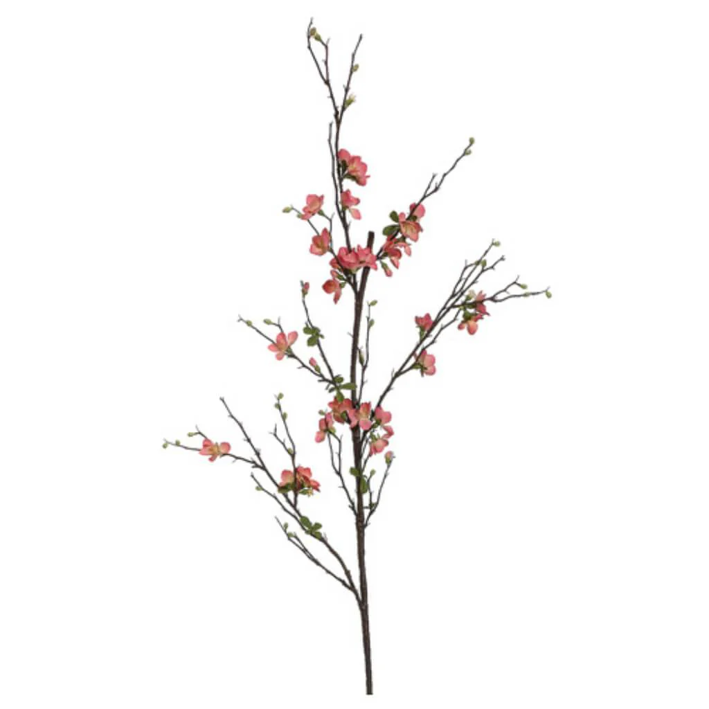 57"Quince Blossom Branch Sa