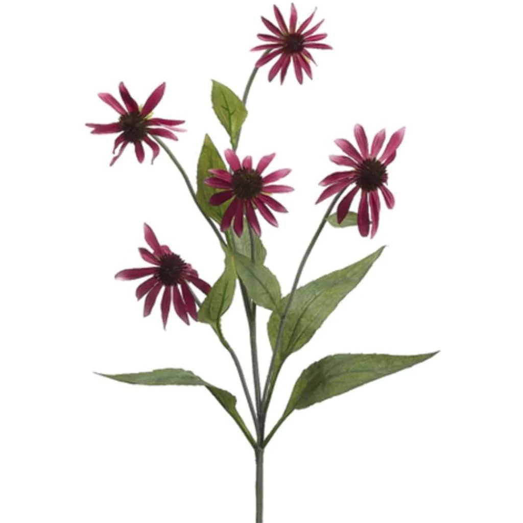Coneflower Spray 34" Rubrum