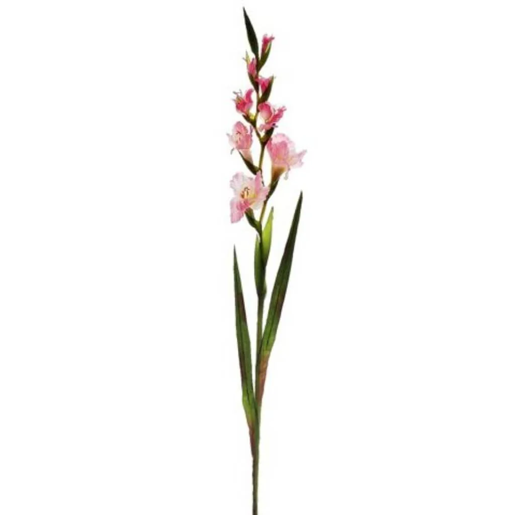 Gladiolus Spray 4F4B 41" Pink