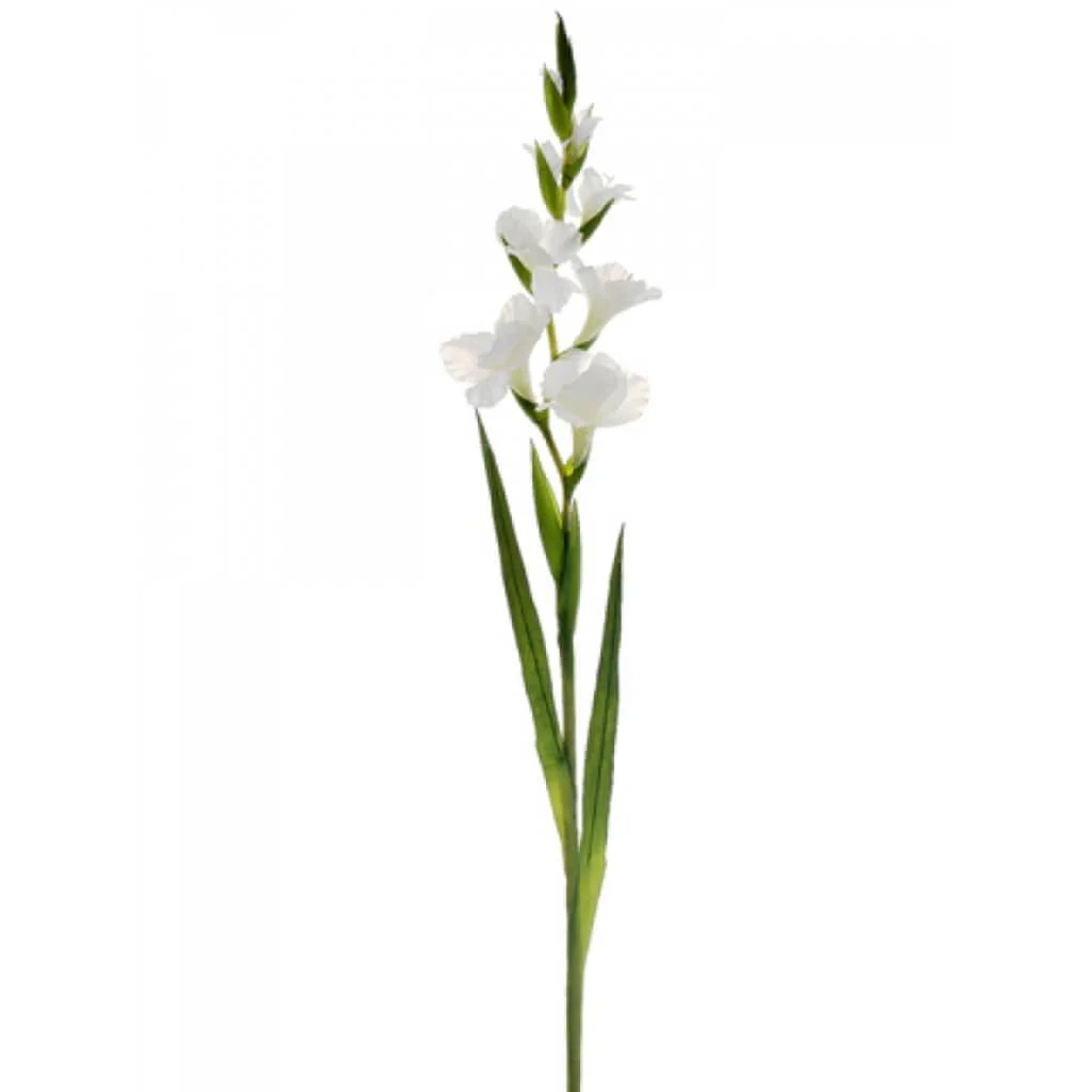 Gladiolus Spray 4F4B 41" White