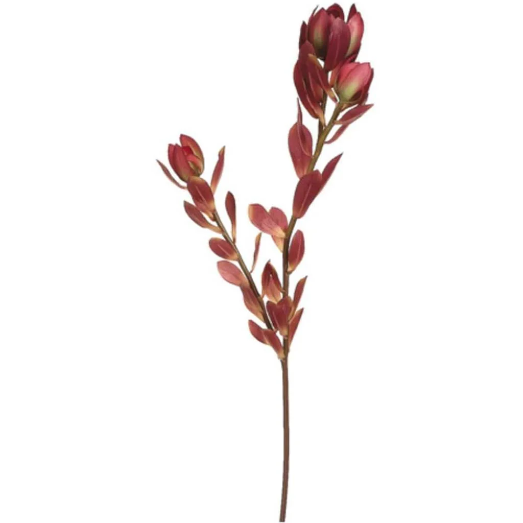 Mini Leucadendron Spray 24" Brown Burgundy