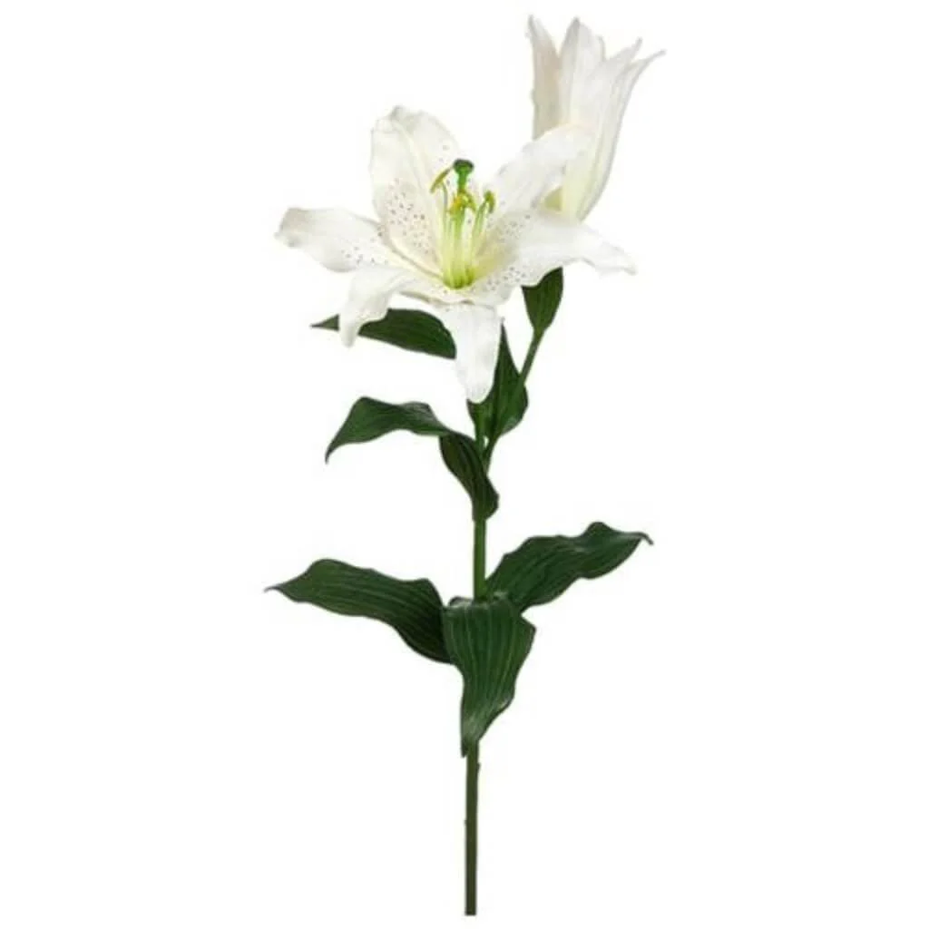 Oriental Lily Spray 37" Cream