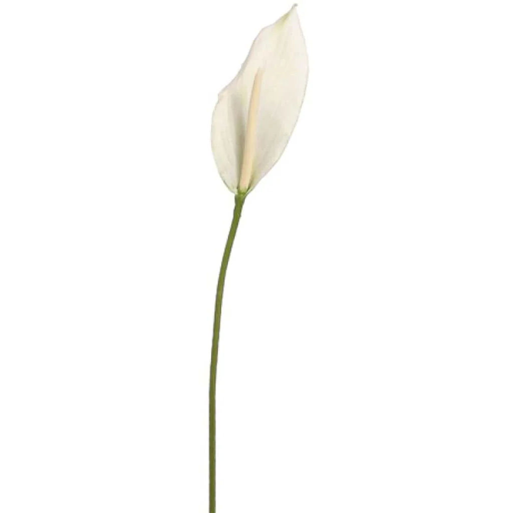 Peace Lily Spray 36" Cream
