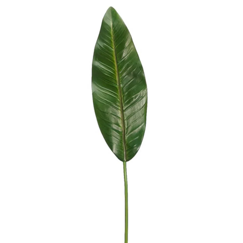 Bird Of Paradise Leaf Spray 37" Green