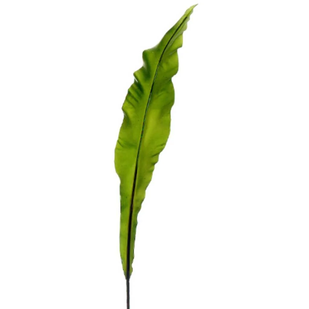 Sm Apista Leaf Spray 24" Green