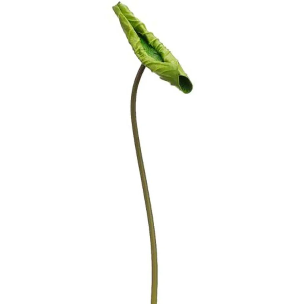 Lotus Leaf Spray 25" Green