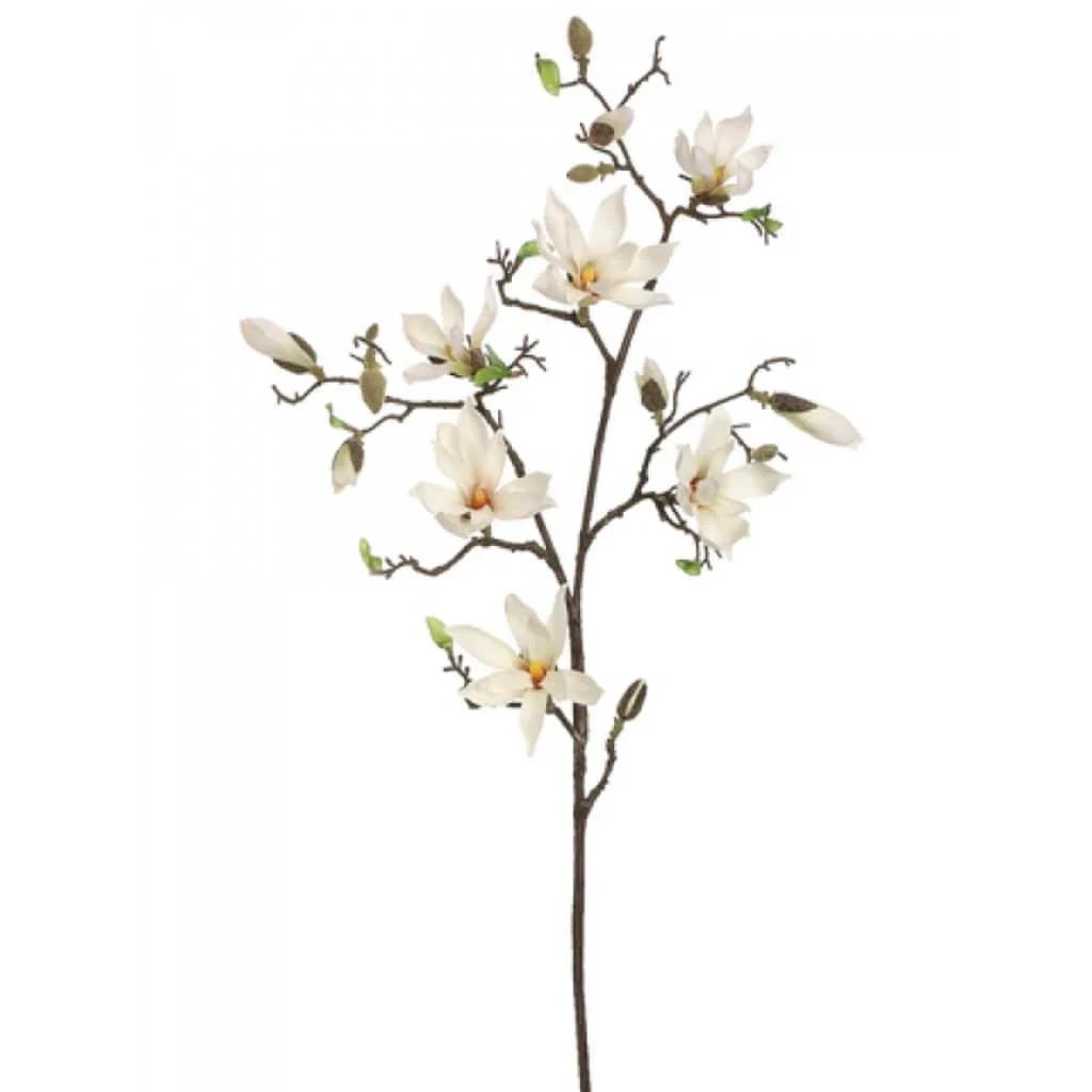 Magnolia Tree Branch Cream, 49in