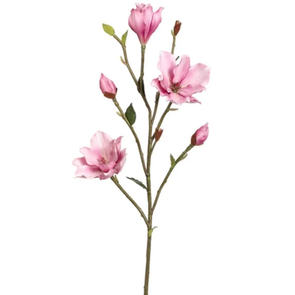 Tree Magnolia Branch Mv, 39in