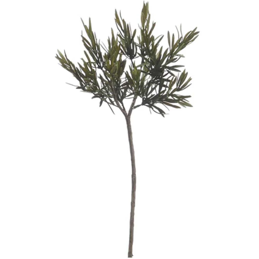 26"Rosemary Branch Gr/Tt