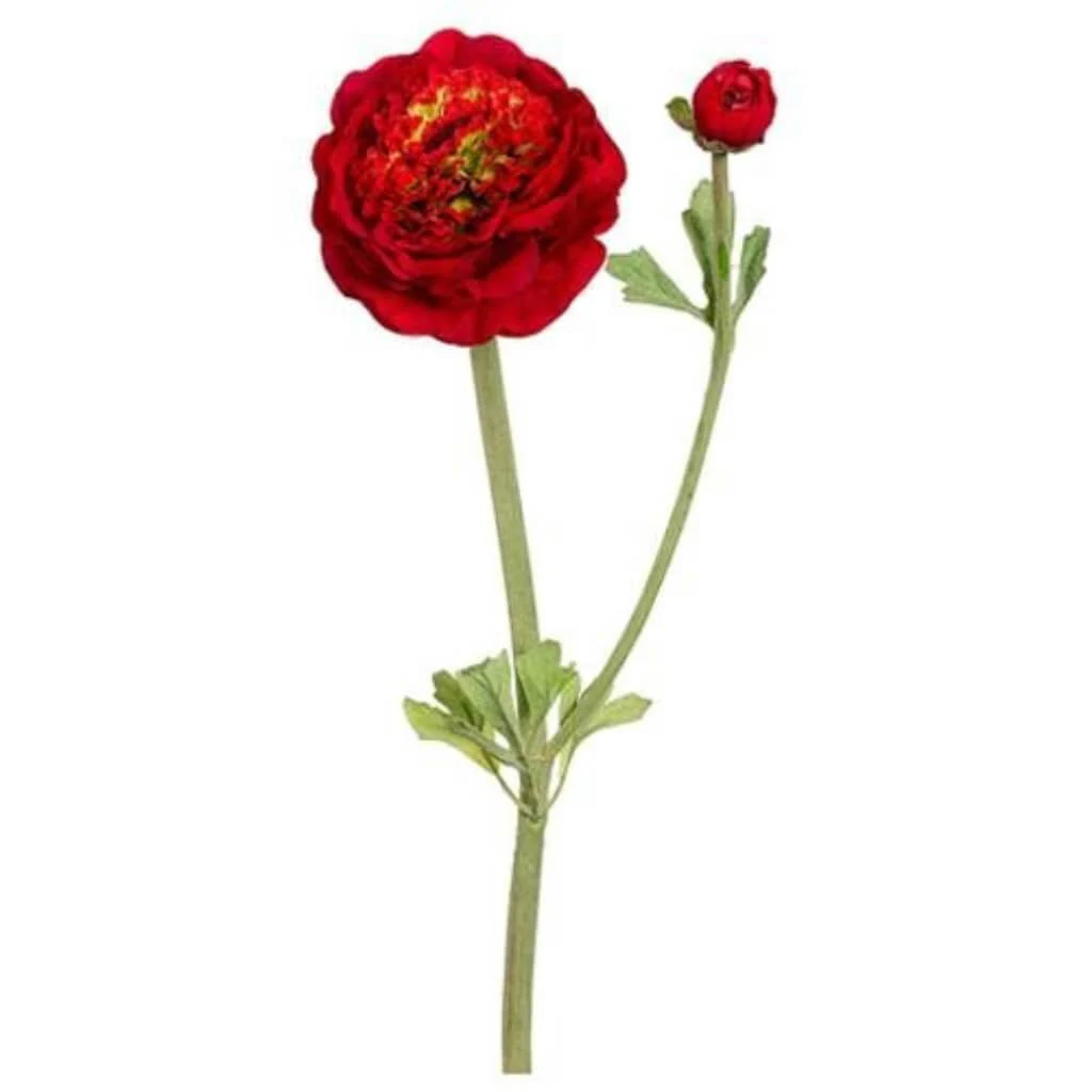Dbl Ruff Ranunculus Spray 20" Red