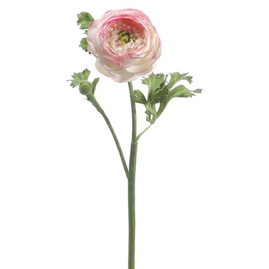 Ranunculus Spray  13in Pink Cream