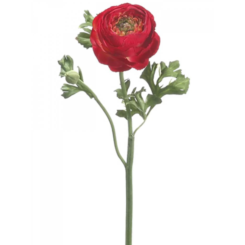 Ranunculus Spray 13in Red