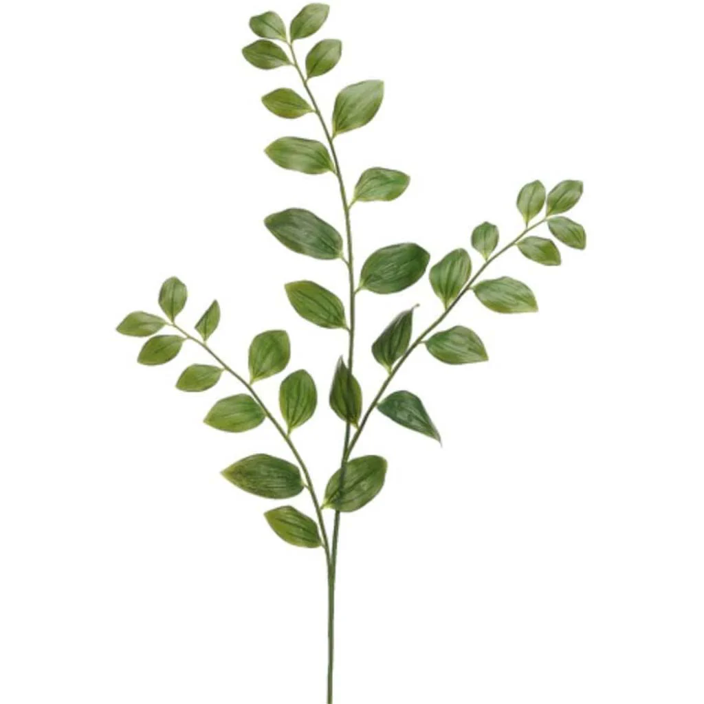 Solomon's Seal Spray  48in Green