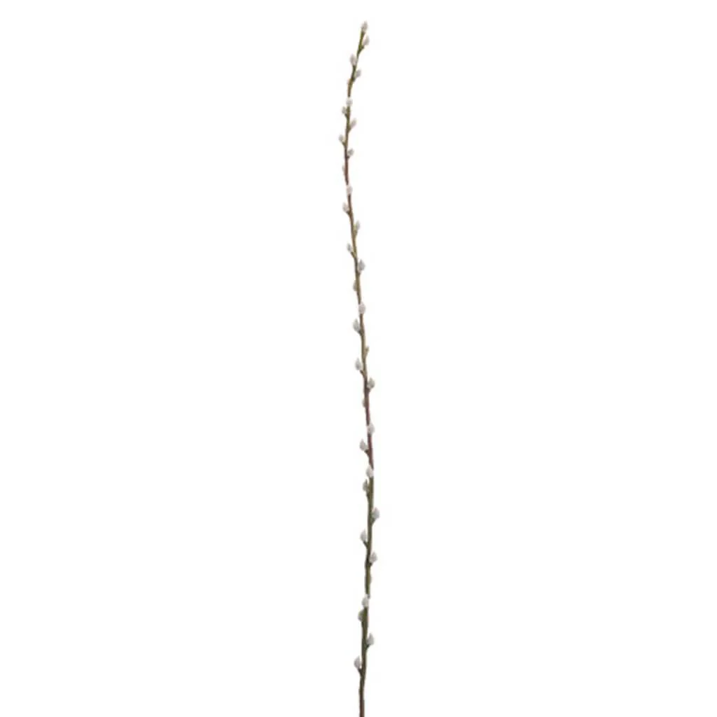 46"Pussy Willow Branch Gy