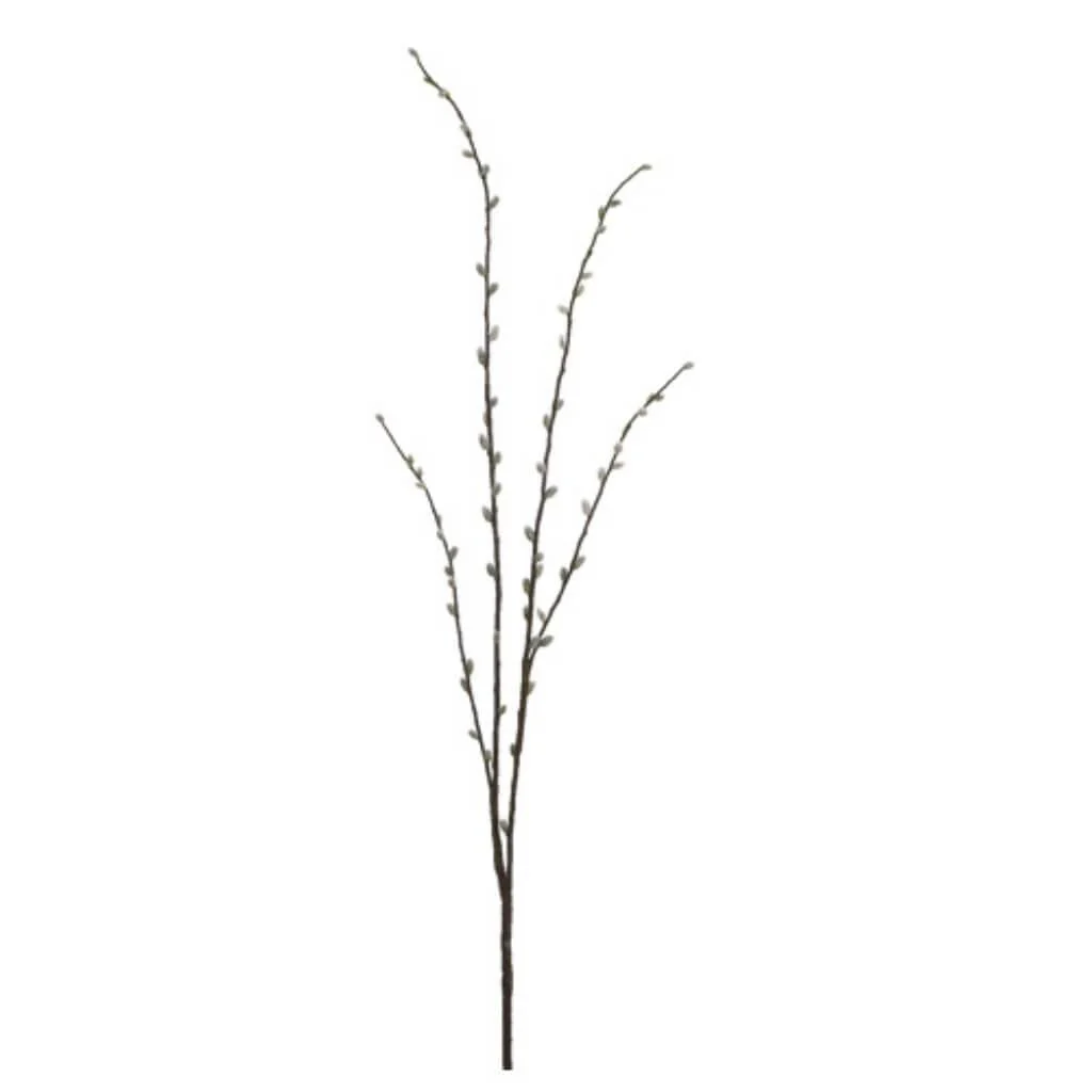 66"Wild Pussy Willow Branch Gy