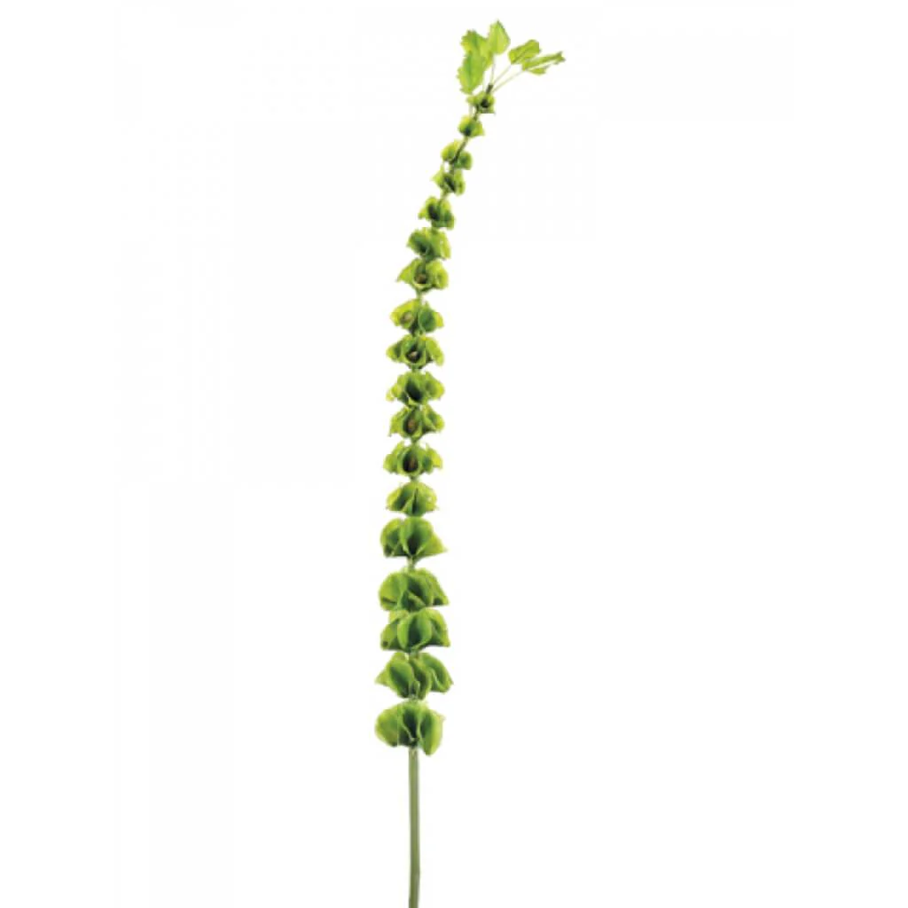 Artificial Floral Bells Of Ireland Spray Garland 39" Green