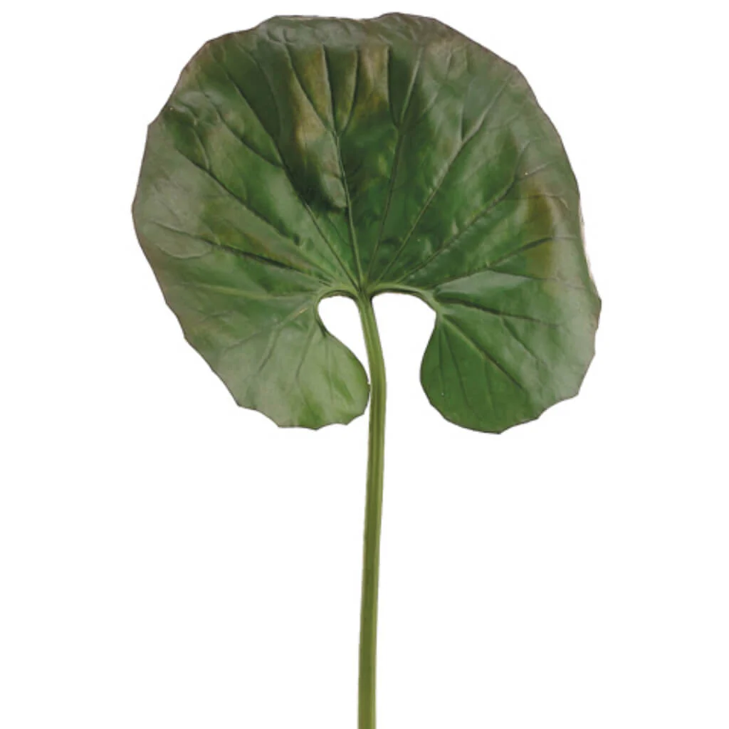 Horse Shoe Fern Leaf Spray 28in Green