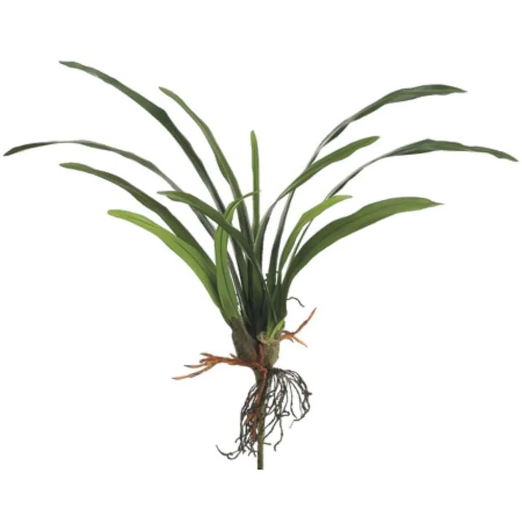 Cymbidium Leaf Plant Green, 22in