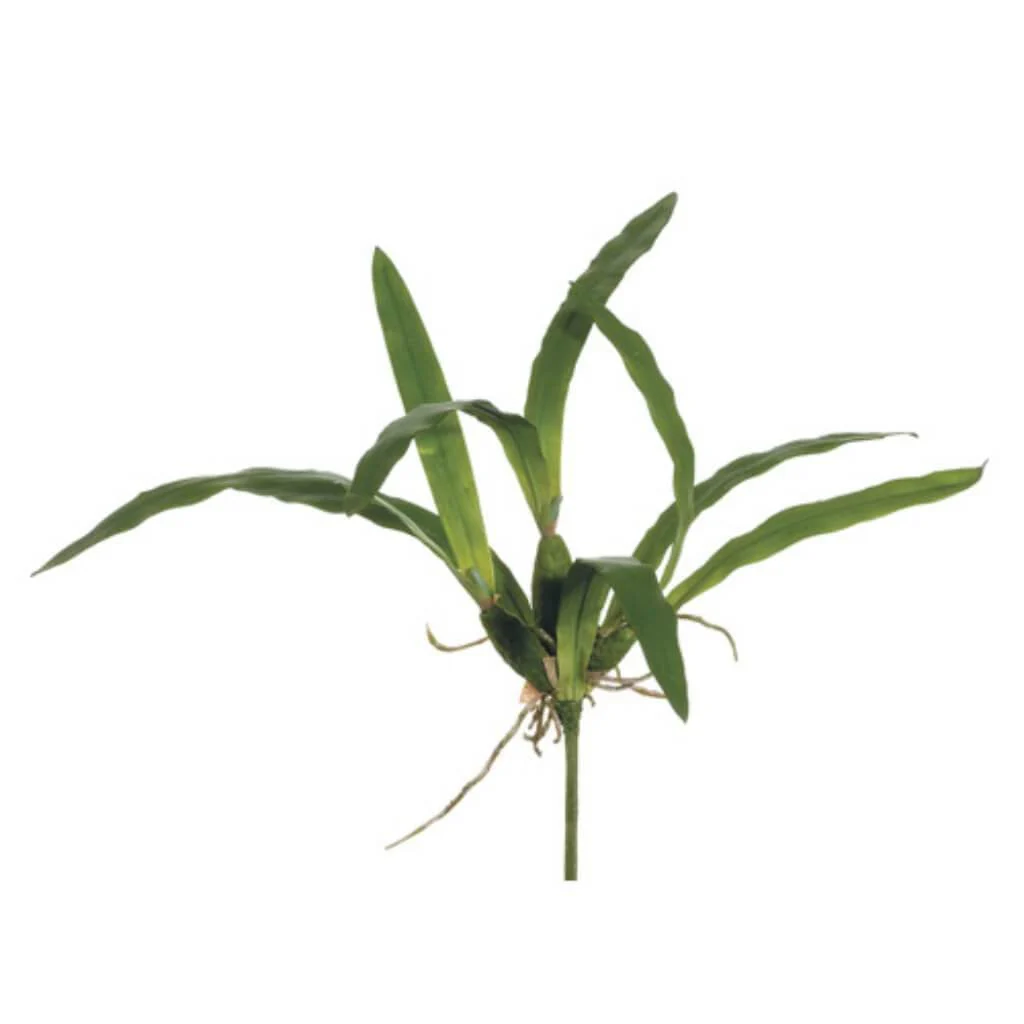 Dancing Orchid Lf Spray 20" Green