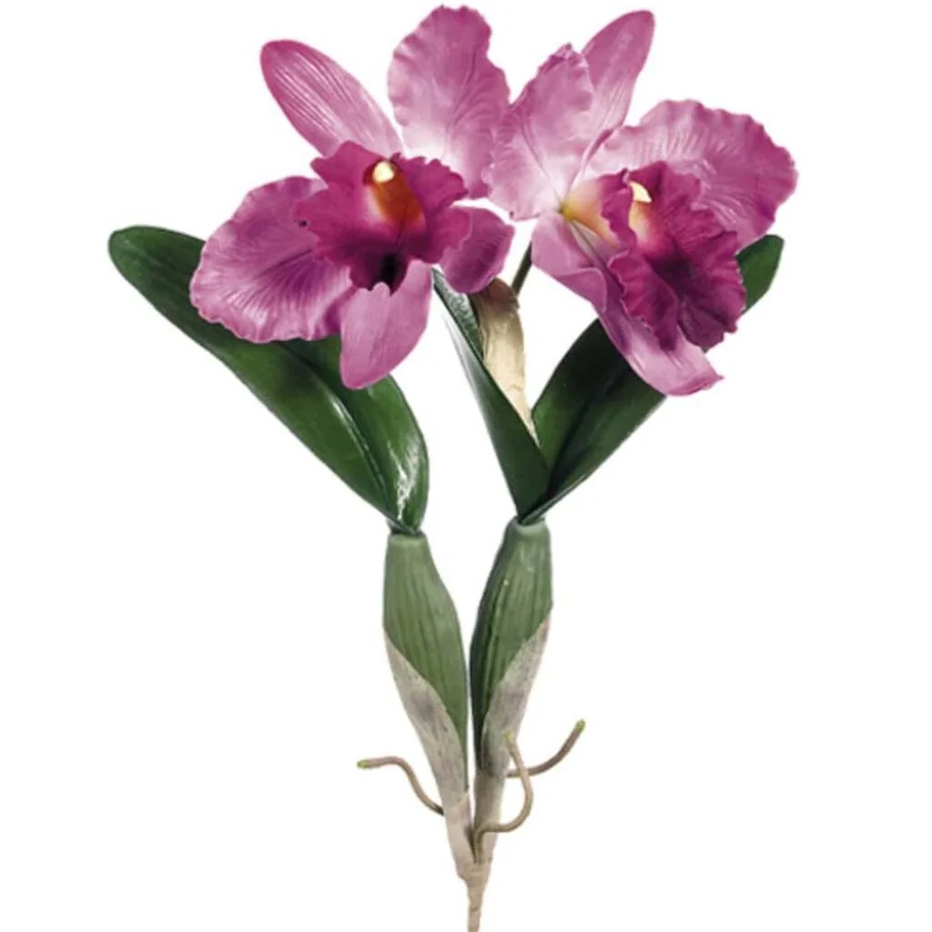 19"Lg Cattleya Sp.X2 2F3L Pu